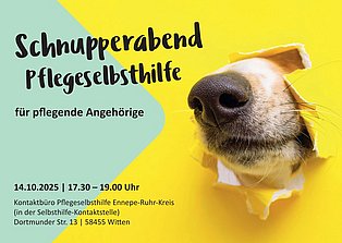 Hundenase, die durch eine gelbe Paperwand stößt.